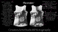 Women's Black and White cotton tank top Design By Ascension Colchester