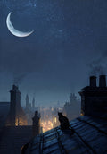Copywrite free Victorian Rooftops Wall Print Cat On The Roof Digital Download 18 x 24 inch High resolution 300ppi digital file.