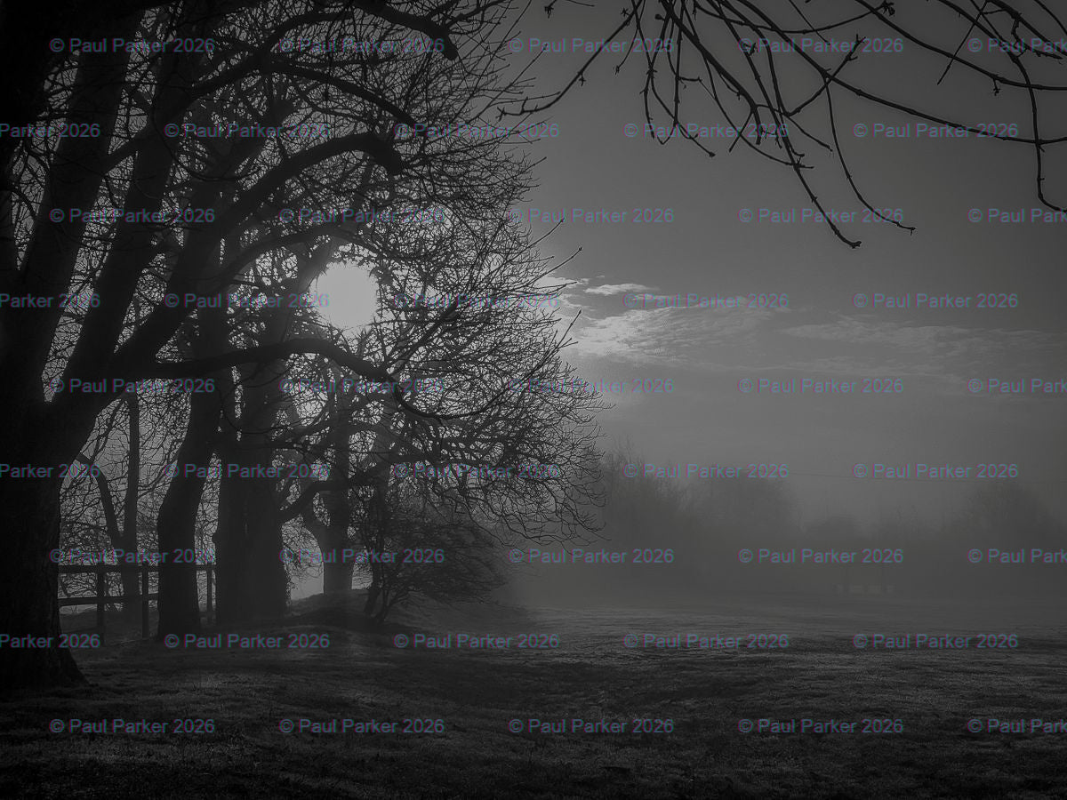 Vaulty Manor Digital Download 24 x 18 inch